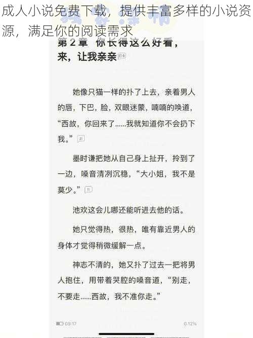 成人小说免费下载，提供丰富多样的小说资源，满足你的阅读需求