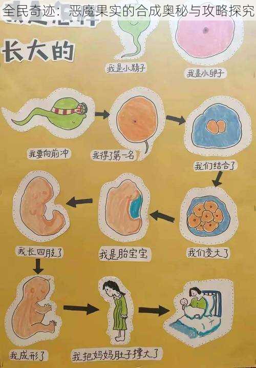 全民奇迹：恶魔果实的合成奥秘与攻略探究