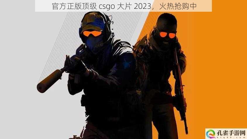 官方正版顶级 csgo 大片 2023，火热抢购中