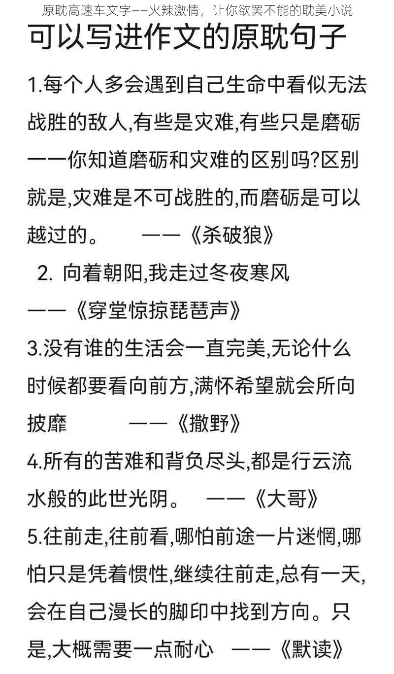 原耽高速车文字——火辣激情，让你欲罢不能的耽美小说