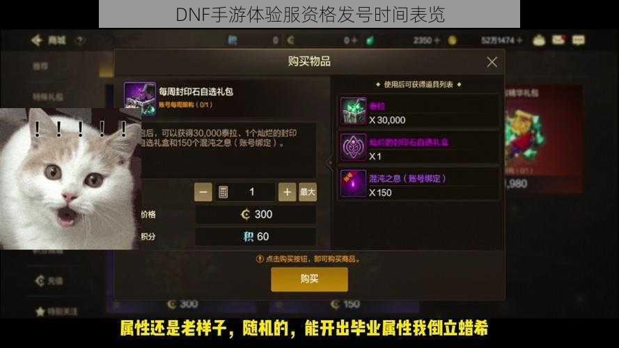 DNF手游体验服资格发号时间表览