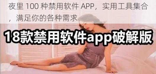 夜里 100 种禁用软件 APP，实用工具集合，满足你的各种需求