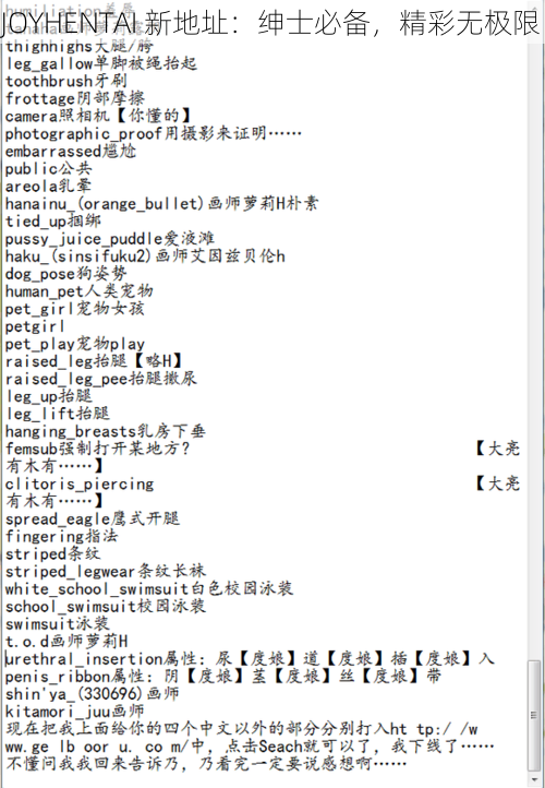 JOYHENTAI 新地址：绅士必备，精彩无极限