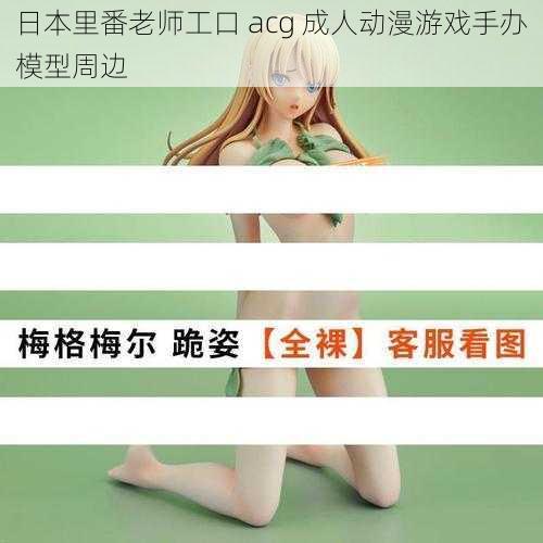 日本里番老师工口 acg 成人动漫游戏手办模型周边