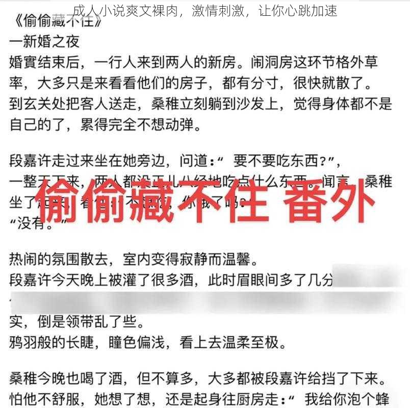 成人小说爽文裸肉，激情刺激，让你心跳加速