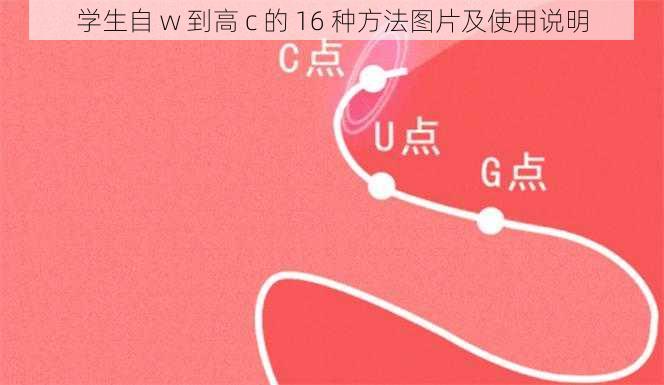 学生自 w 到高 c 的 16 种方法图片及使用说明